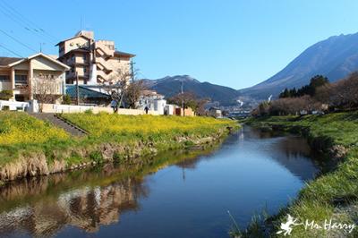Yufuin - Yellow Blossoms Light Up The Hot Spring Town